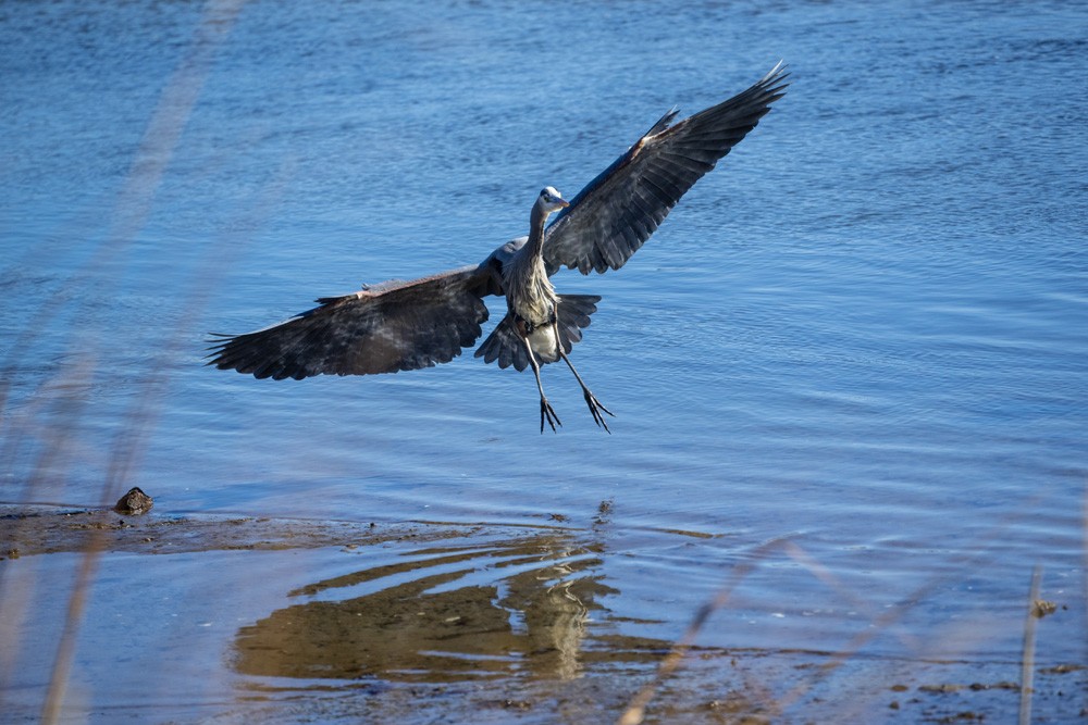 023-Sunken-Meadow-2-14-23-02.jpg