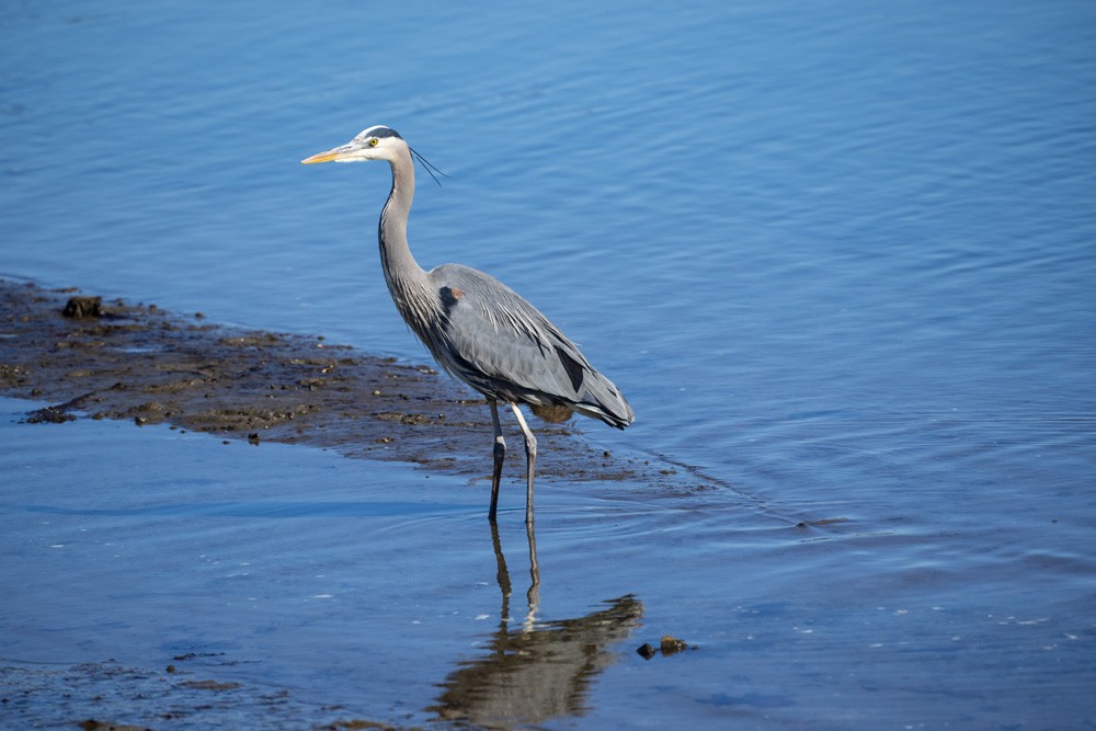 023-Sunken-Meadow-2-14-23-05.jpg