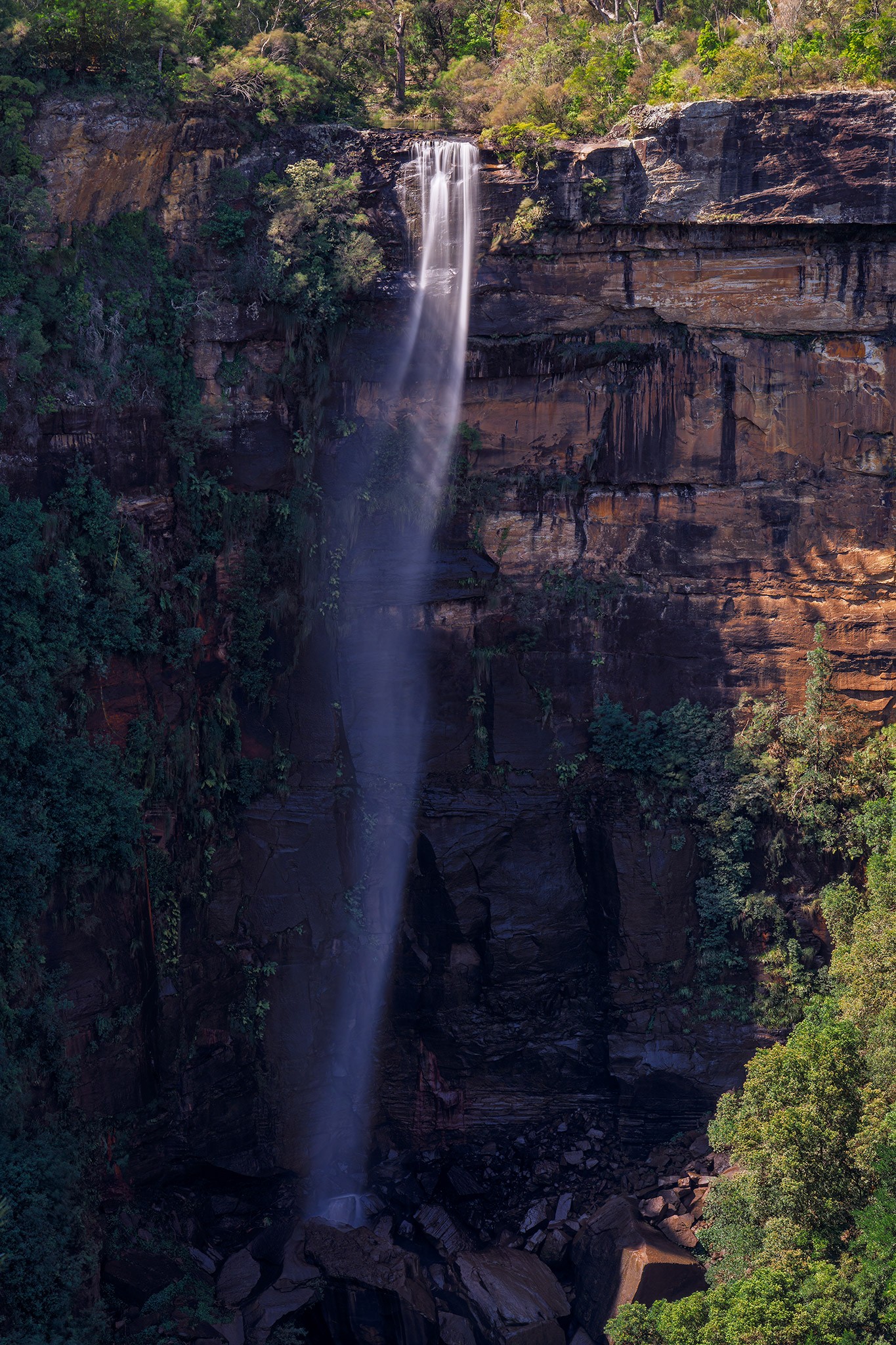 _7RV2310_Fitzroy_Falls_1.jpg