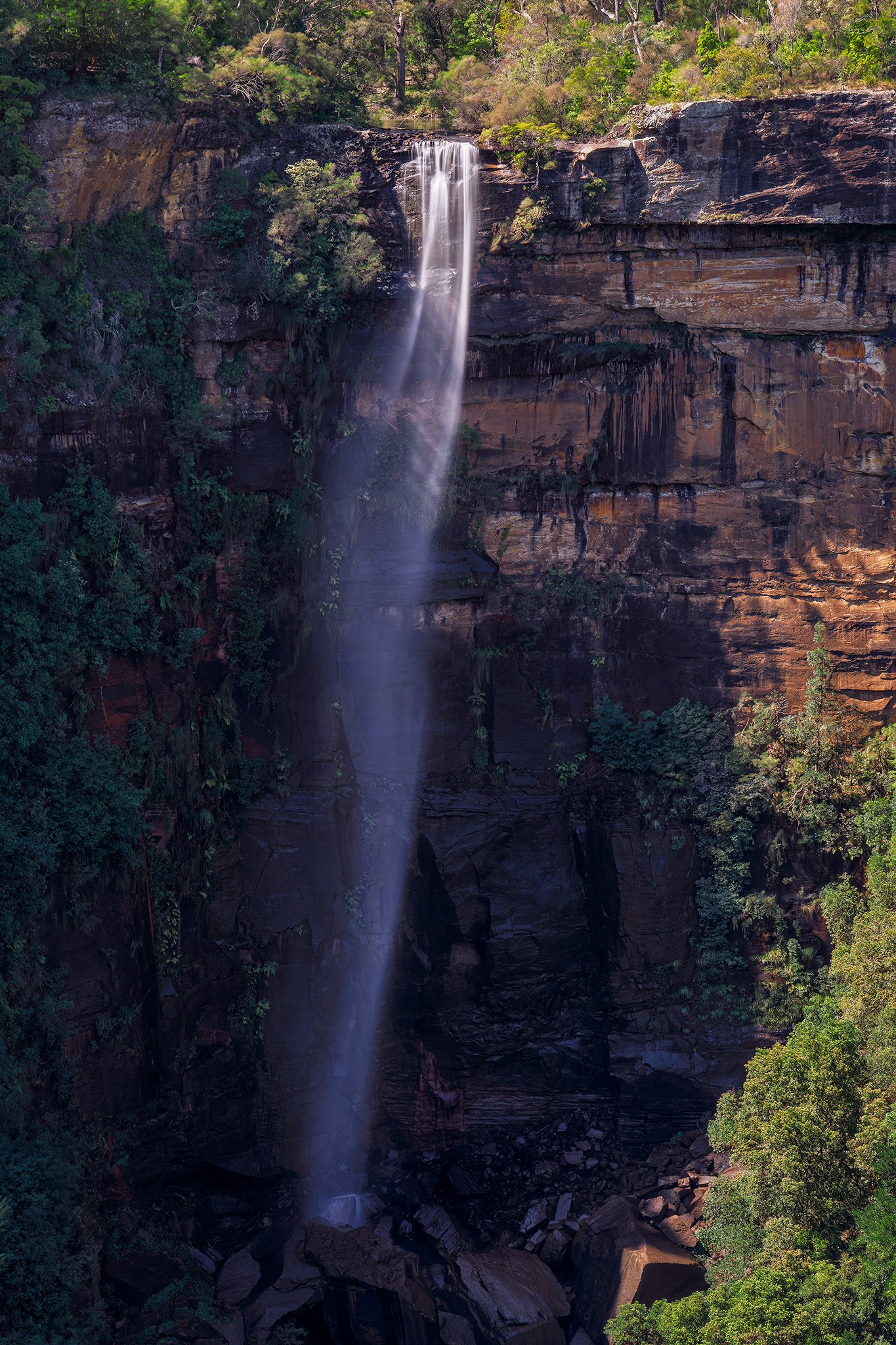 _7RV2310_Fitzroy_Falls_1.jpg