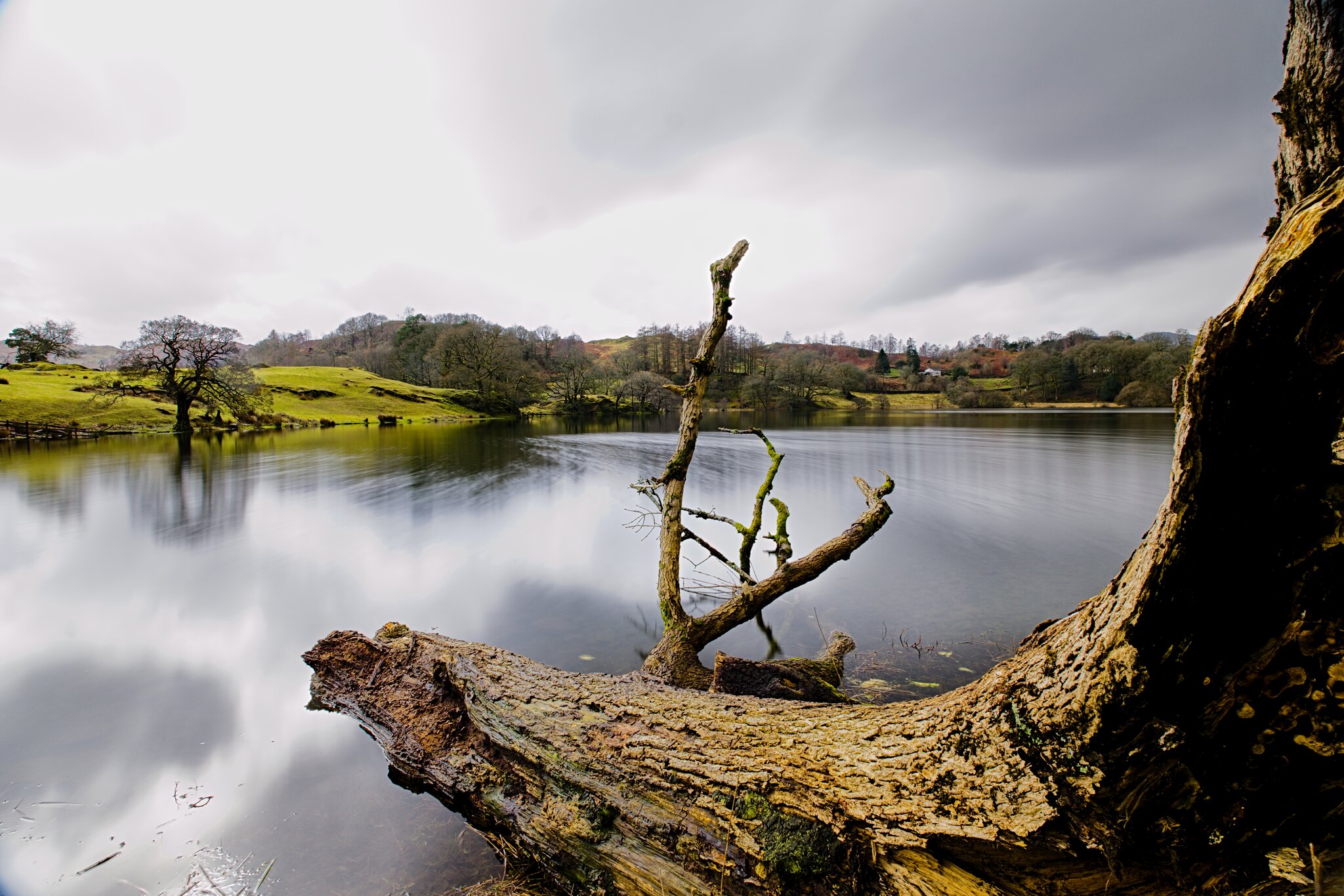 Ambleside Loughrigg Tarn March 23 1 DSC05719.jpg