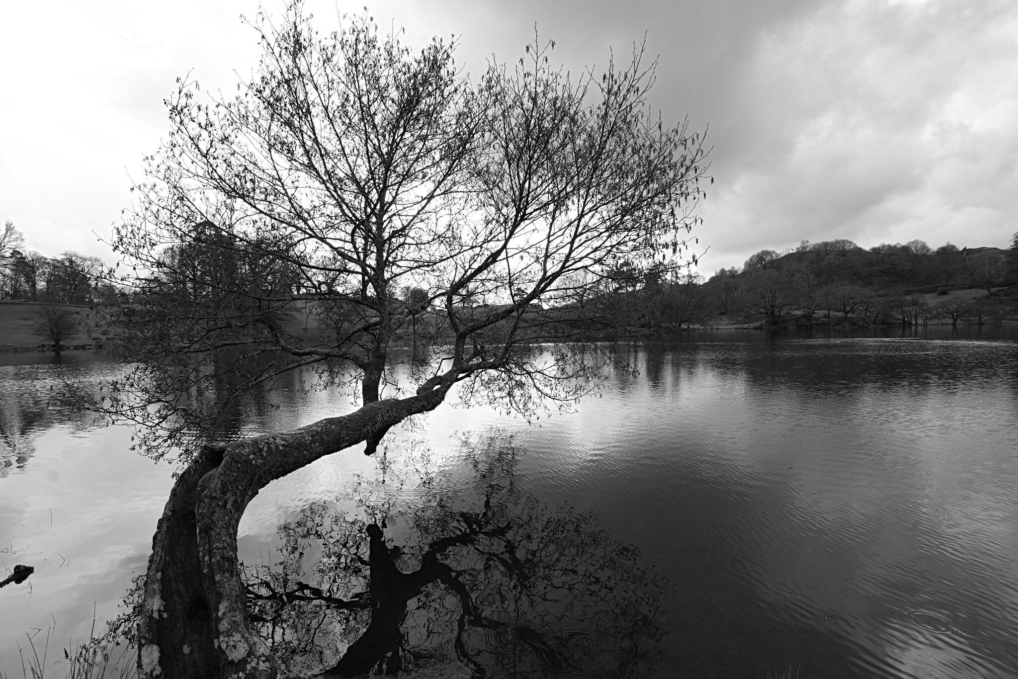 DSC05700Ambleside Loughrigg Tarn March 23 3.jpg