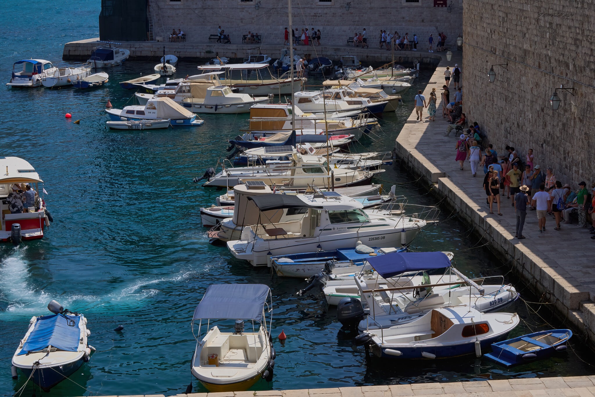 dubrovnik 2024 14.jpg