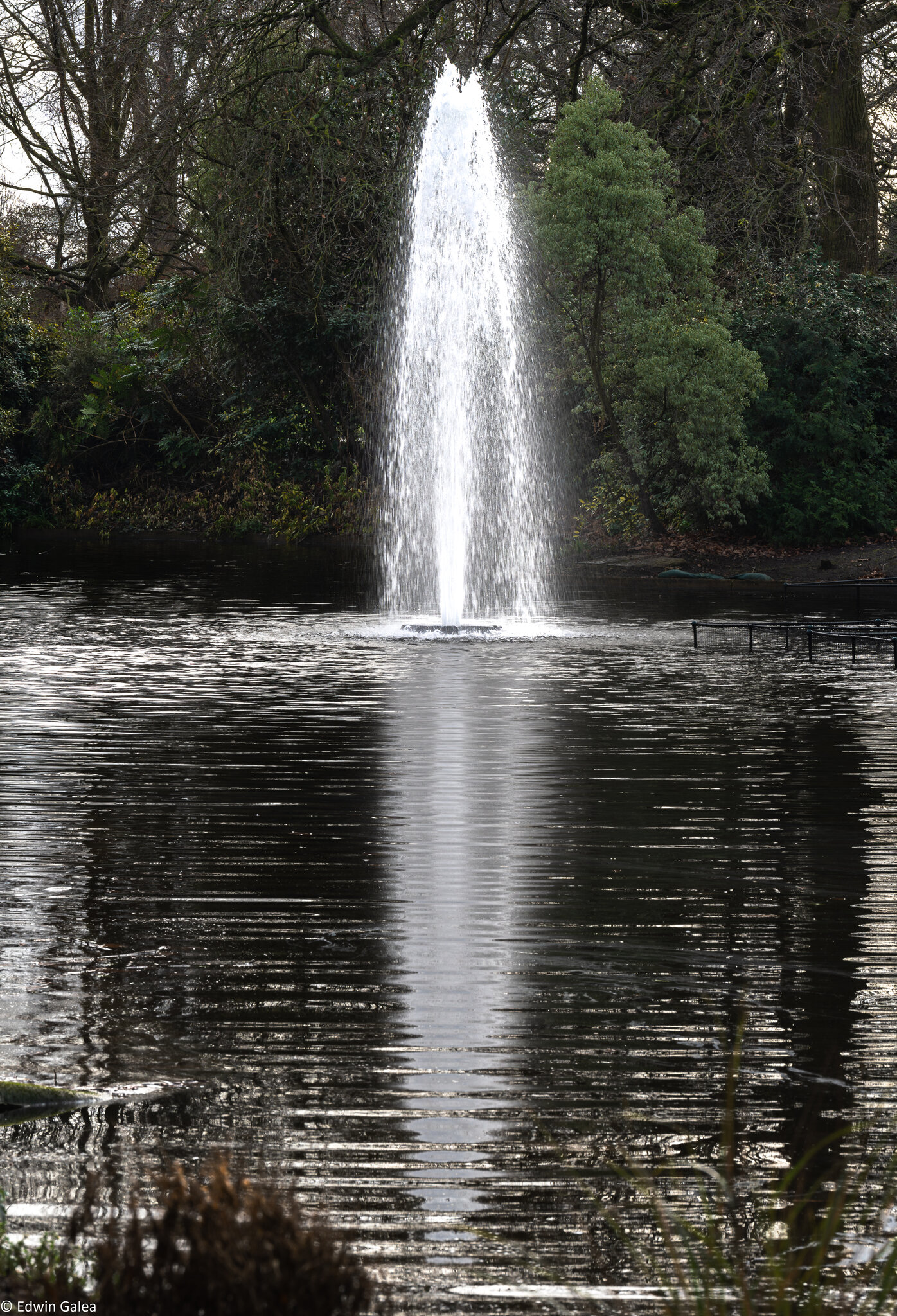 greenwich park fountain-1.jpg