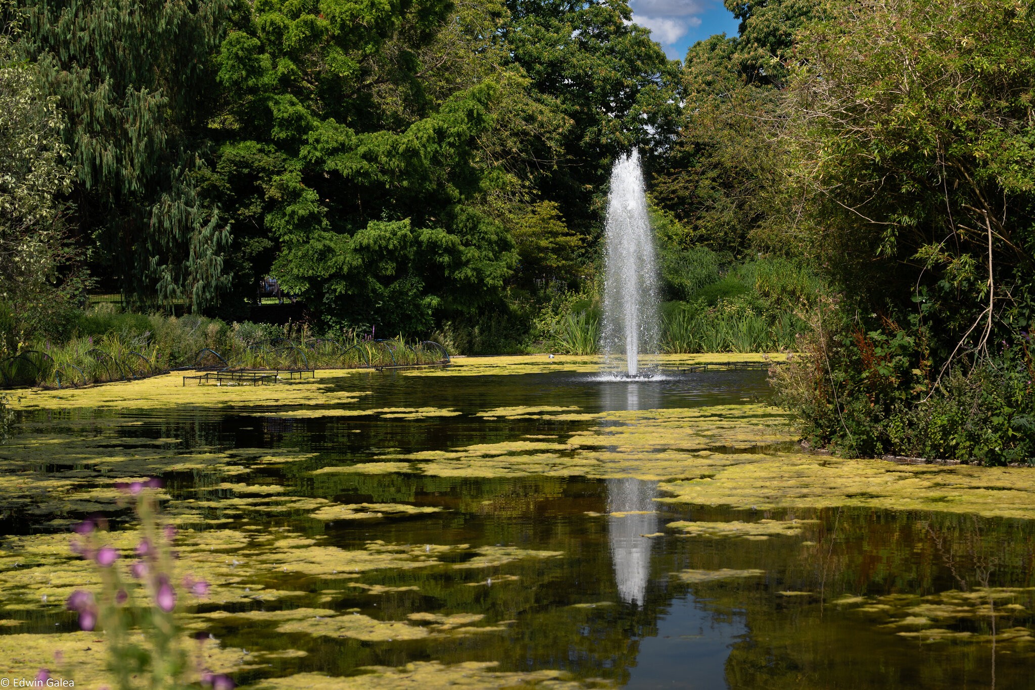 greenwich park fountain-2.jpg