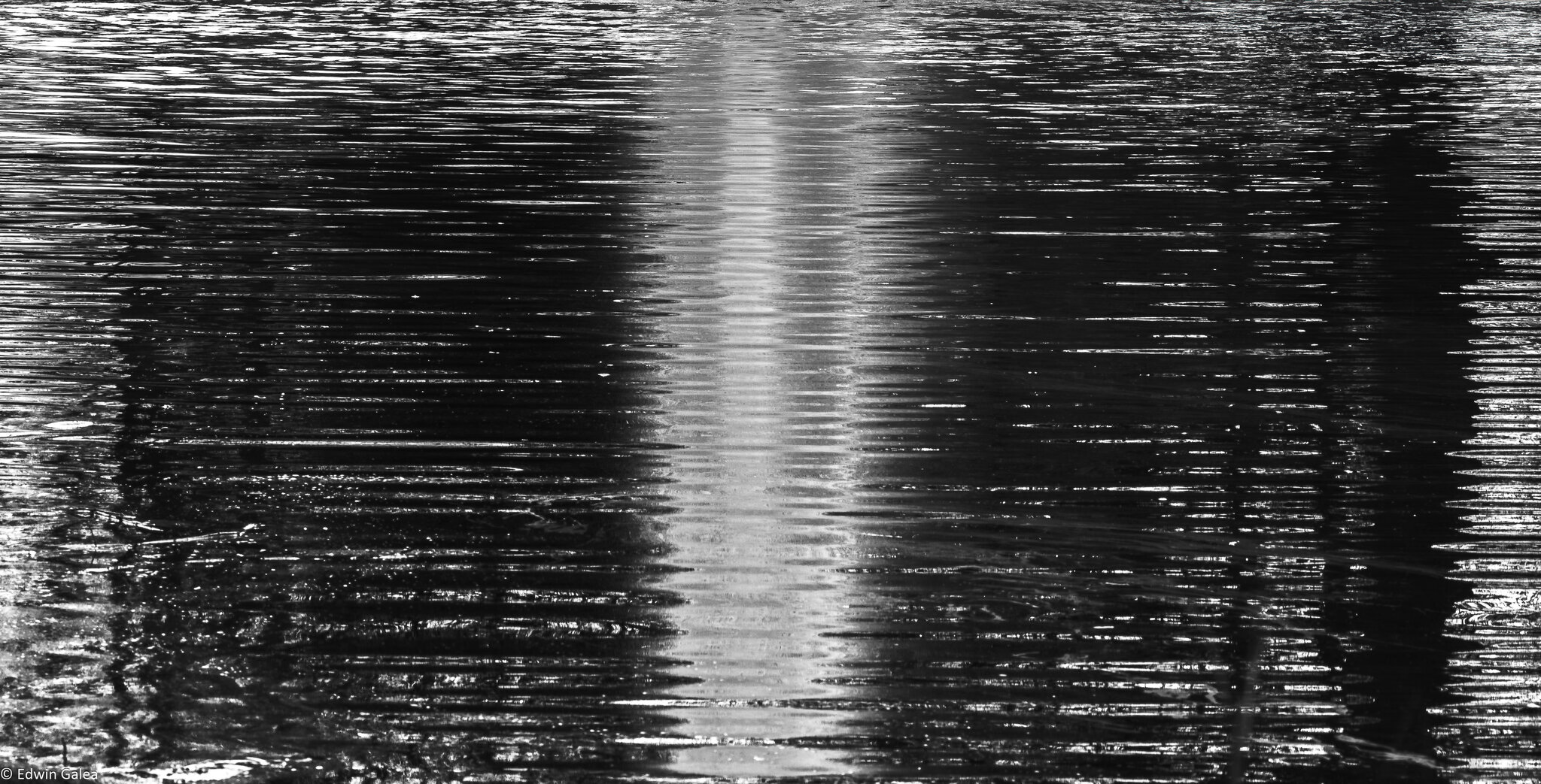 greenwich park fountain bw-5.jpg