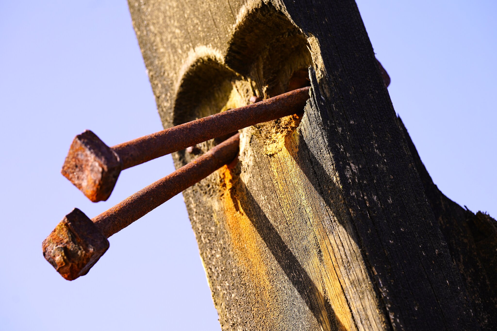 Groyne 1.JPG