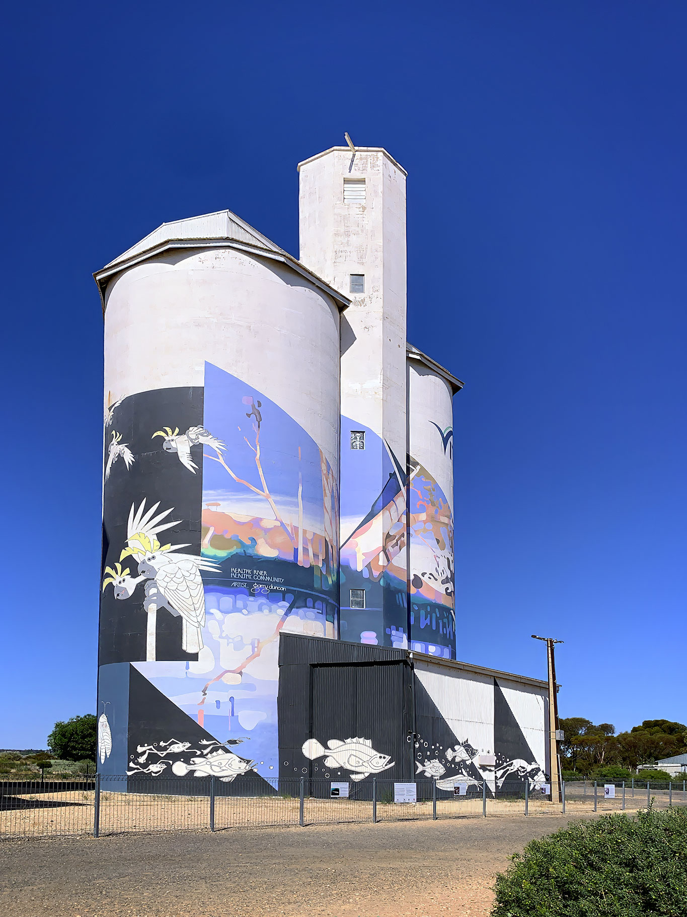 IMG_3232_Wailkerie_Silo_Art_2.jpg