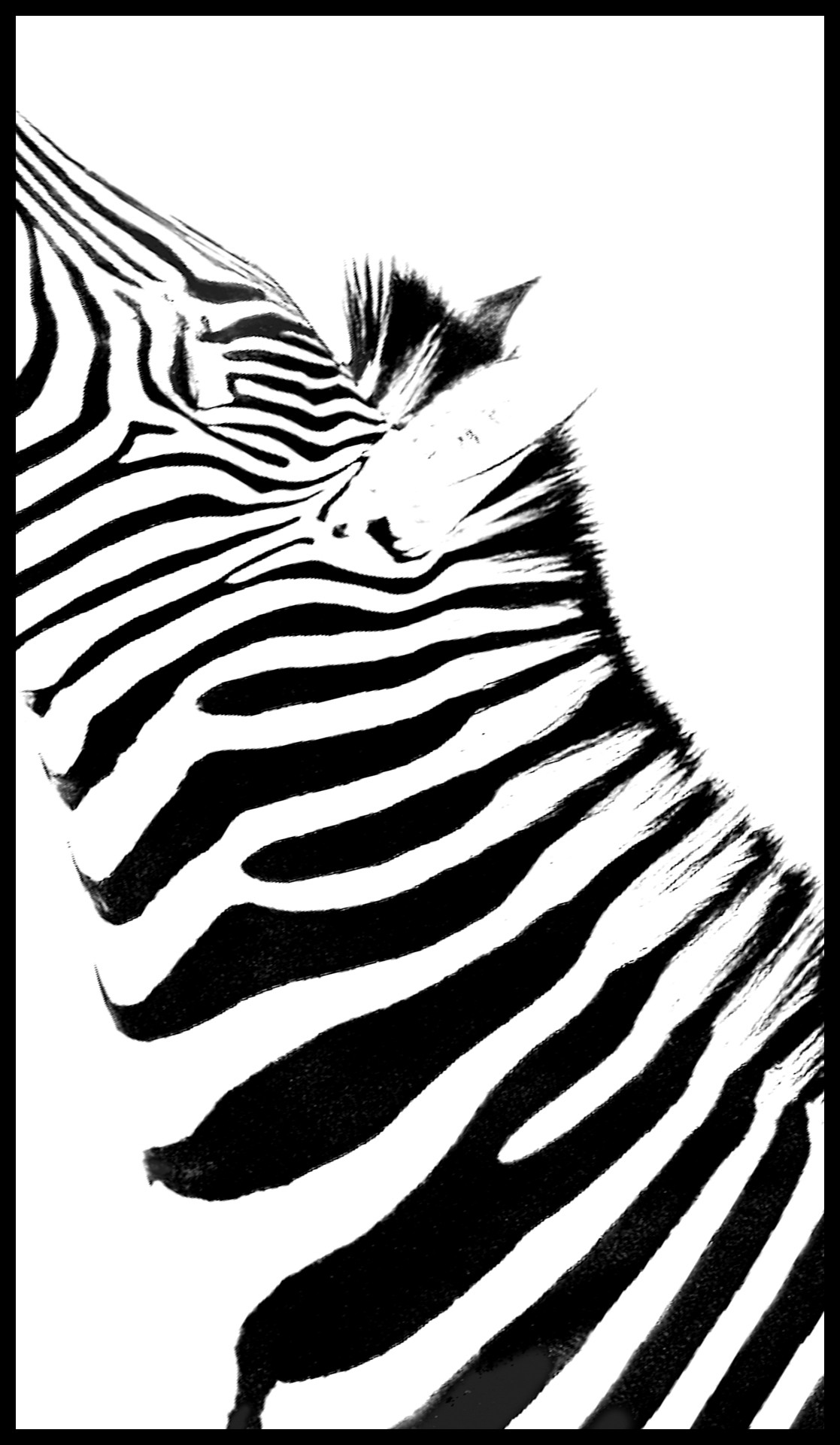 MarkDunsford2_Just Black and White Stripes.jpg