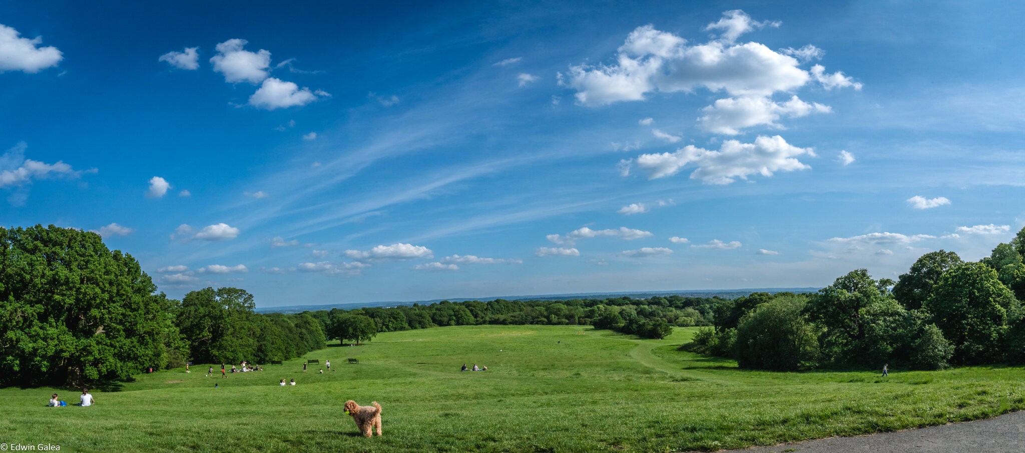 Oxleas wood meadow-2.jpg