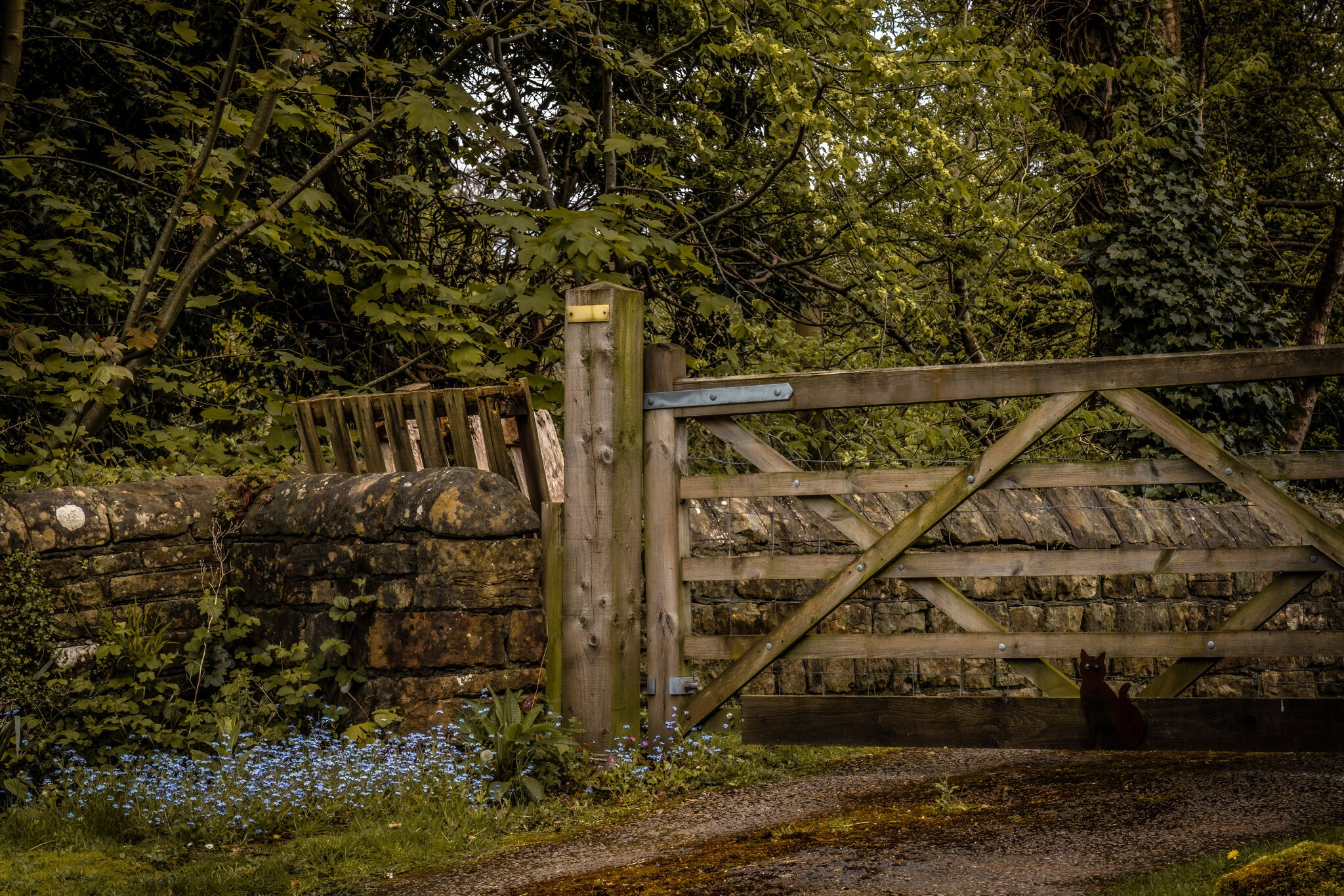 Pleasley Vale Mill Walk (11 of 19).jpg