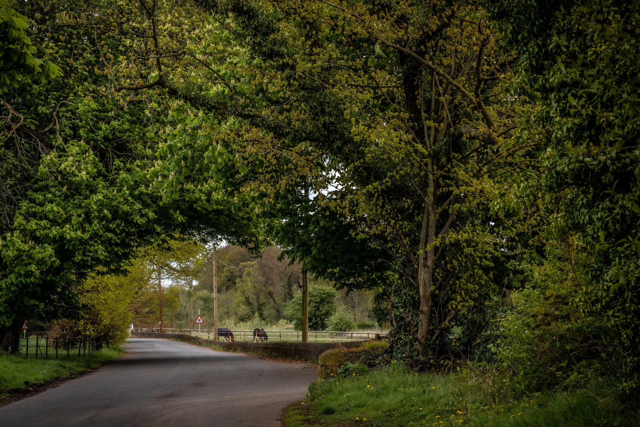 Pleasley Vale Mill Walk (13 of 19).jpg