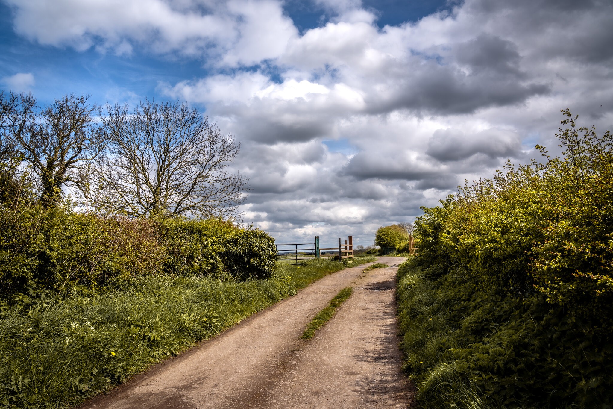 Pleasley Vale Mill Walk (16 of 19).jpg