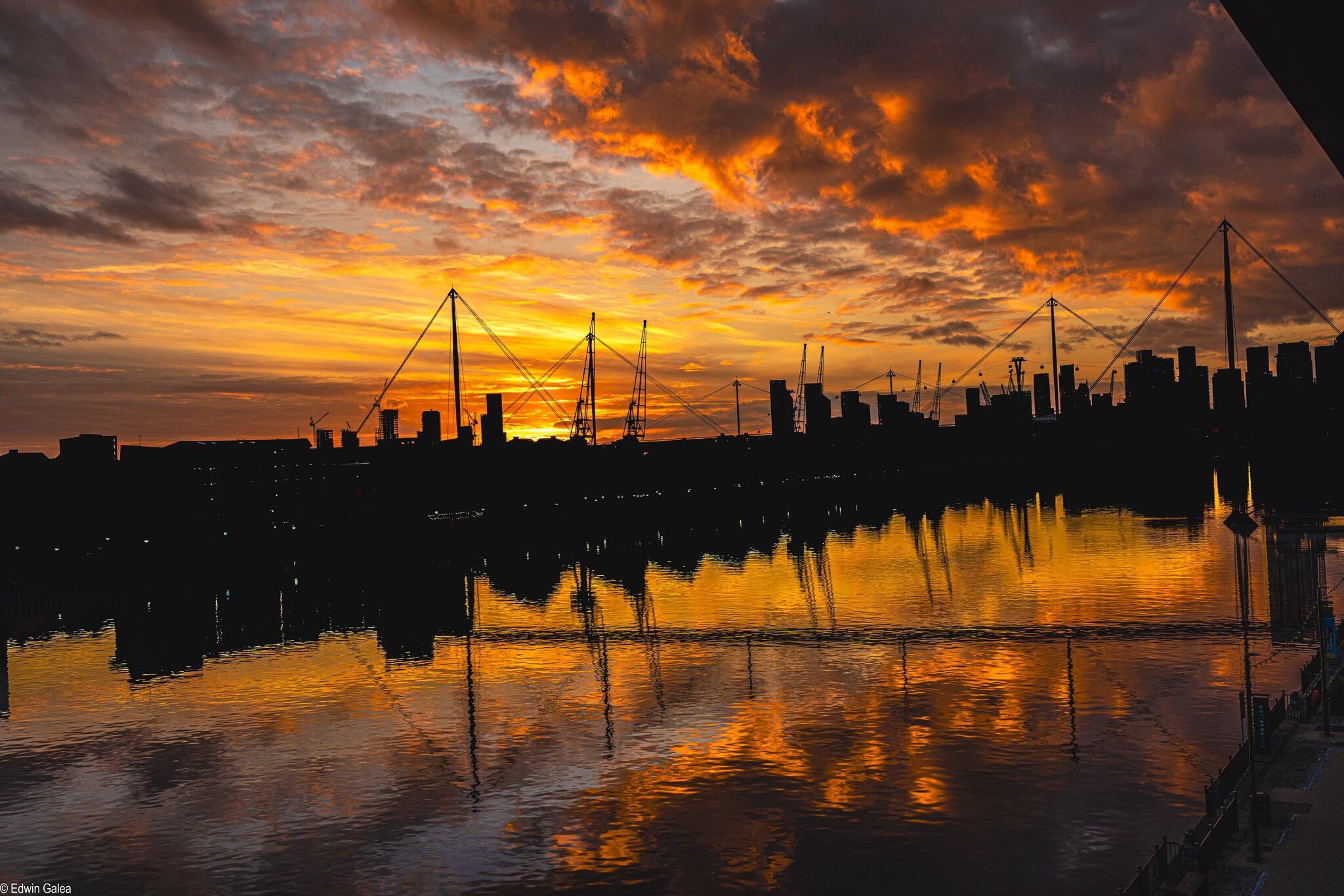 Royal Victoria Dock from Excel Centre-1.jpg