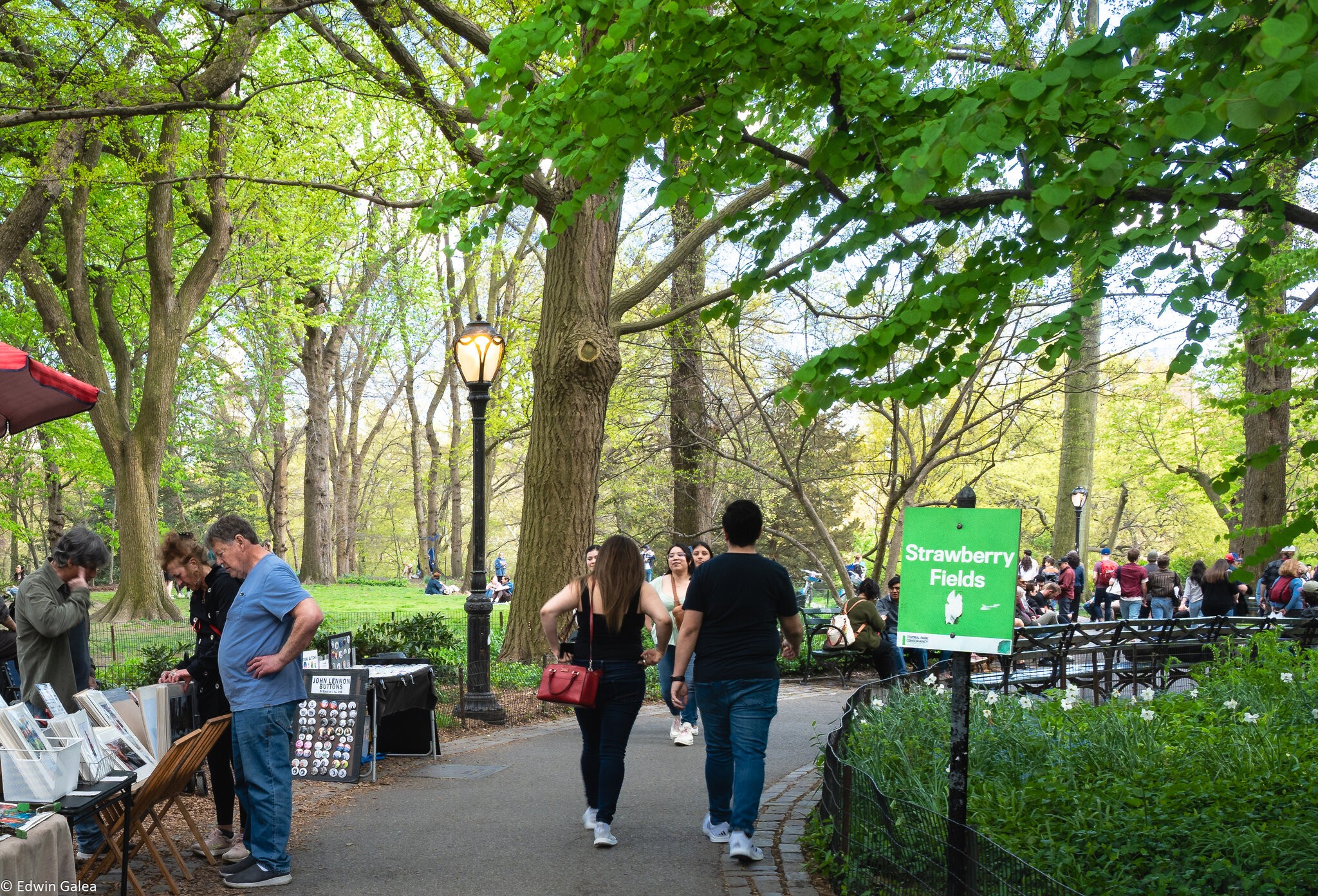 strawberry fields central park-3.jpg