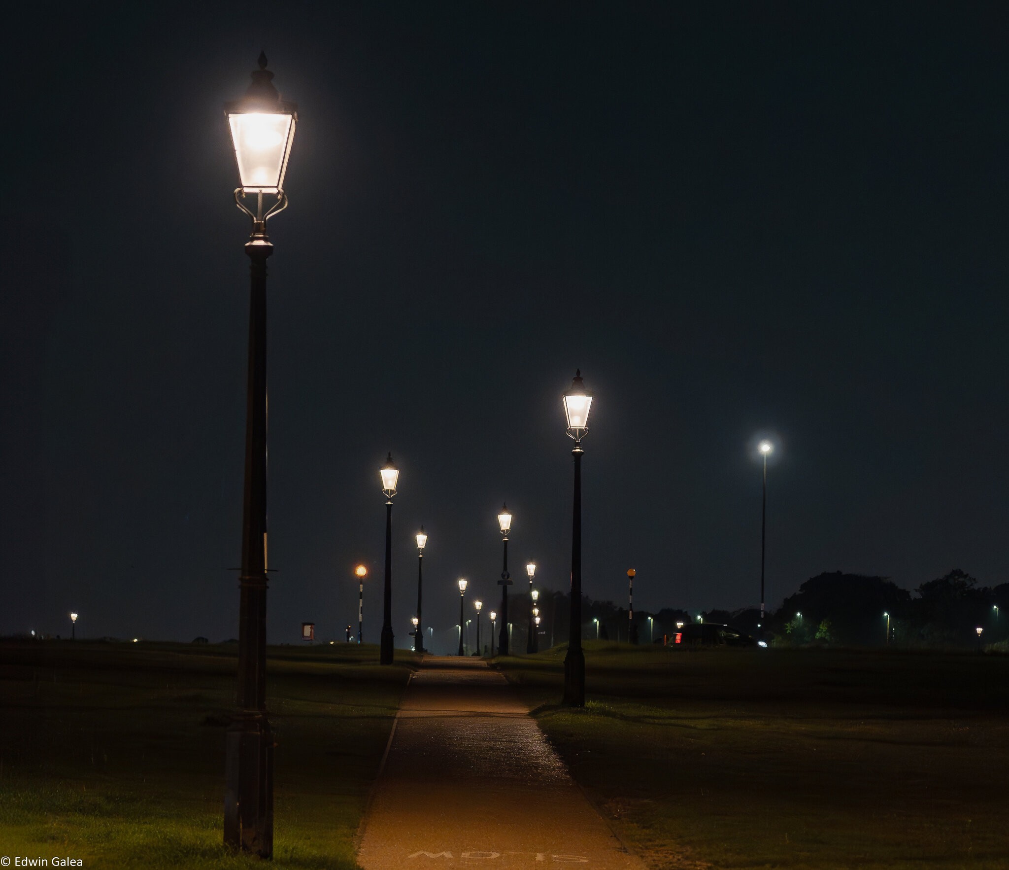 the heath at night-5.jpg