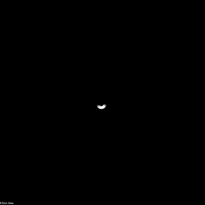 venus_110325-1.jpg