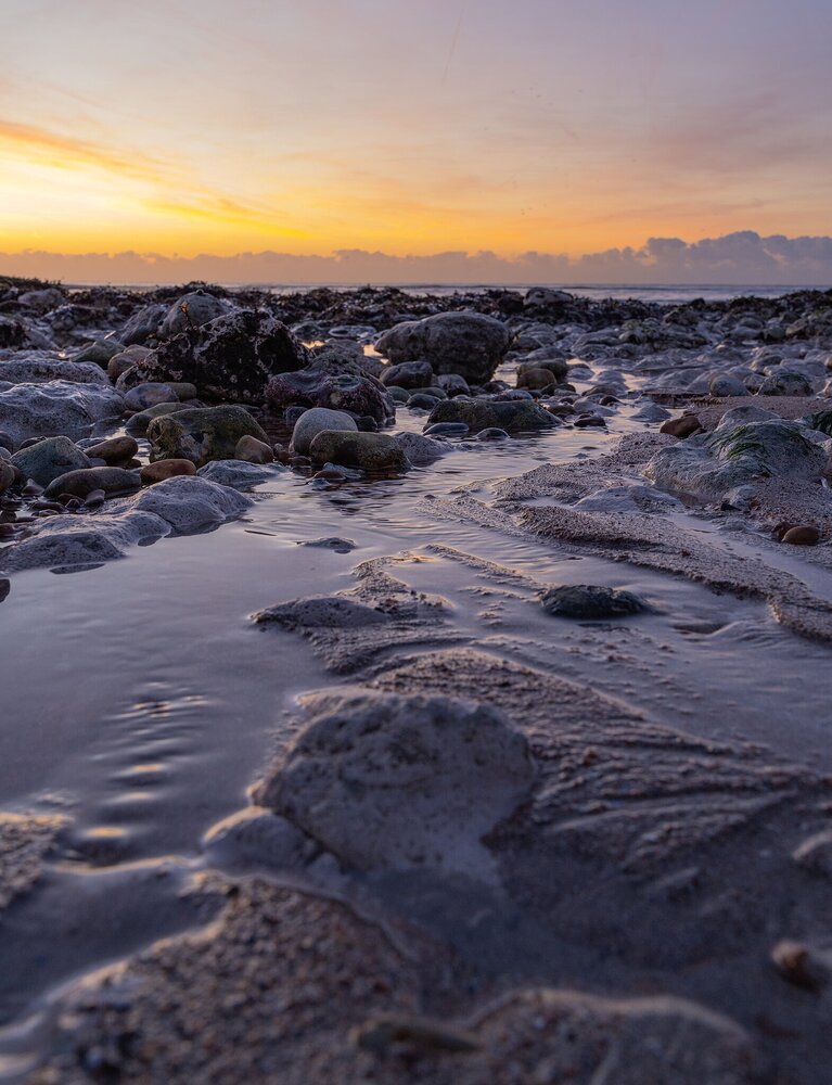 Cuckmere  (4 of 6).jpg