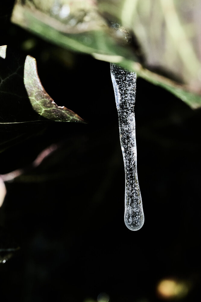 Icicle - Home - 01212025 - 10.jpg