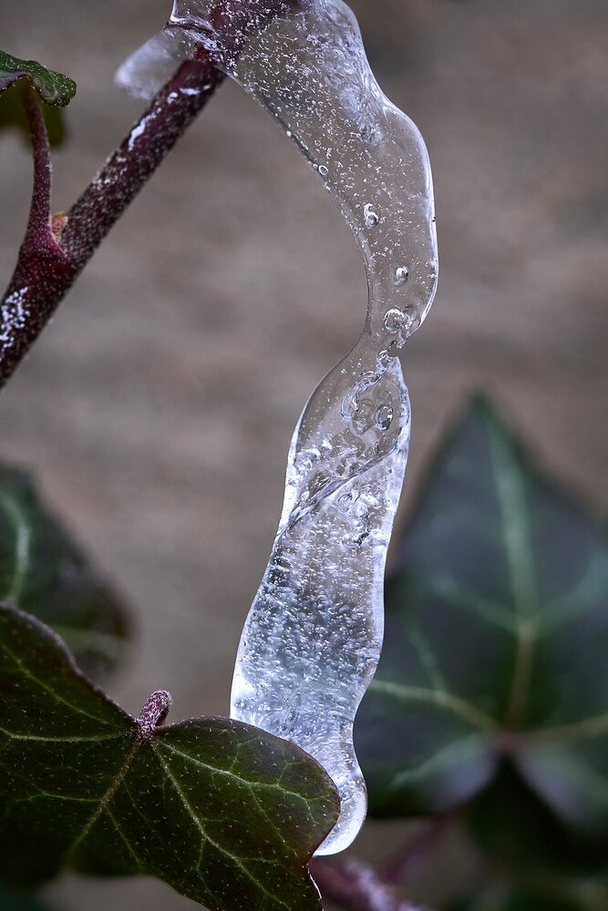 Icicle - Home - 01212025 - 02.jpg