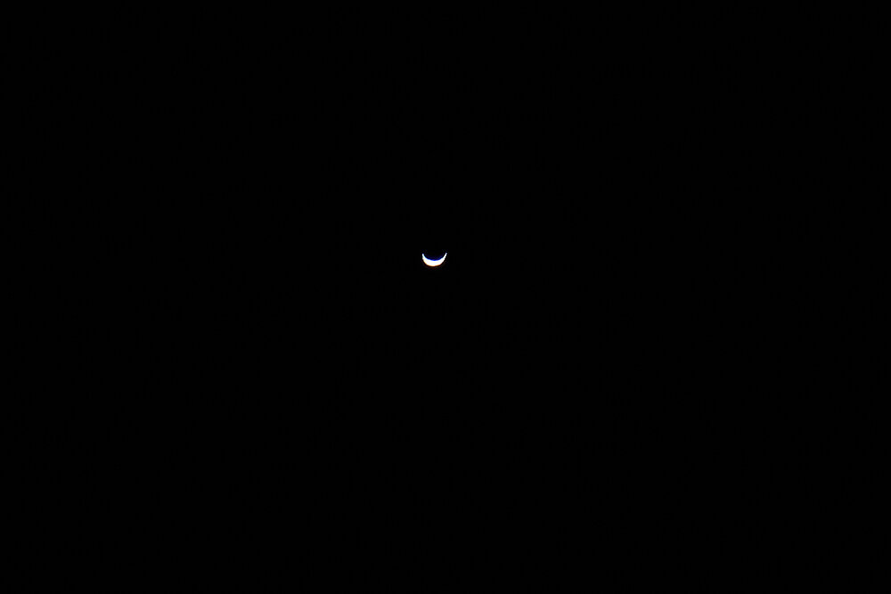 Venus - 03022025 - 01.jpg