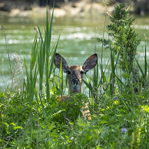 074-Sunken-Meadow-6-4-22-01.jpg