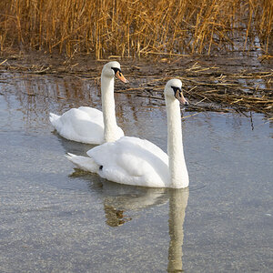 004-Sunken-Meadow-1-7-23-12.jpg