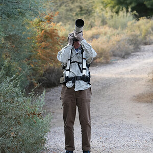 Sweetwater Wetlands S5213.JPG