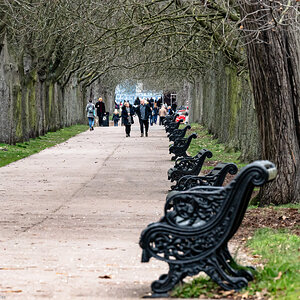 park_bench-2.jpg