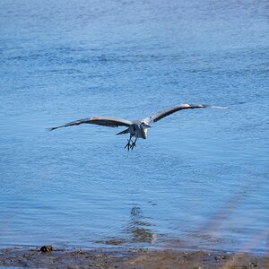 023-Sunken-Meadow-2-14-23-01.jpg