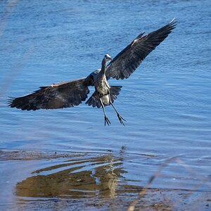 023-Sunken-Meadow-2-14-23-02.jpg