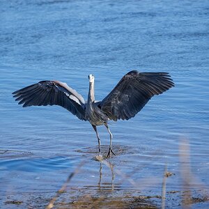 023-Sunken-Meadow-2-14-23-03.jpg