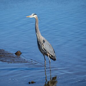 023-Sunken-Meadow-2-14-23-04.jpg