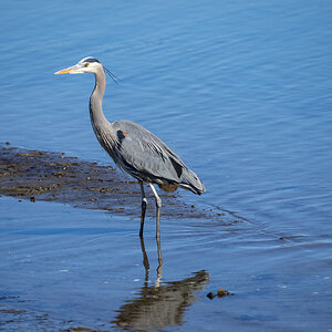 023-Sunken-Meadow-2-14-23-05.jpg