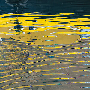 ducks_yellowwater-1.jpg