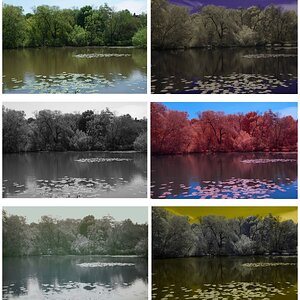 Hall's Pond Sanctuary Multispectral 1 - 14 May 2024