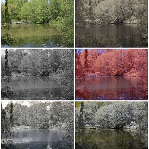 Hall's Pond Sanctuary Multispectral 3 - 14 May 2024