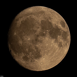 moonrise_newforest_stack2_lumin-7.jpg