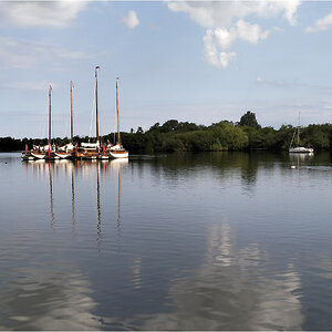 Wherry 4.jpg