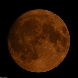 super blue moon orange_denoise-2.jpg