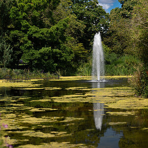 greenwich park fountain-2.jpg