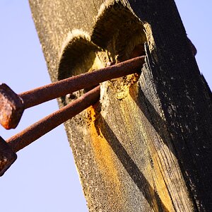 Groyne 1.JPG