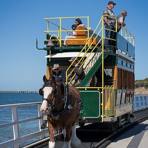 _7RV0116_Horse_Drawn_Tram_On_New_Causeway.jpg