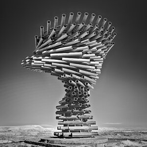 DSC03930singing ringing tree.jpg