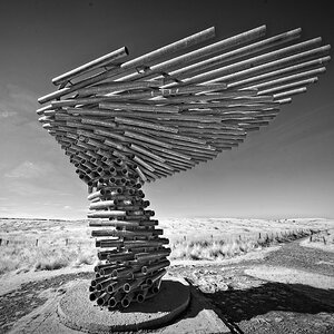 DSC03937singing ringing tree.jpg