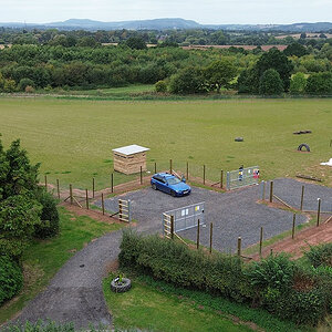 perry-dog-field-aerial-1400px.jpg