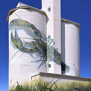 IMG_3231_Waikerie_Silo_Art_1.jpg