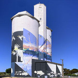 IMG_3232_Wailkerie_Silo_Art_2.jpg