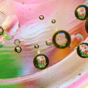 Oil Water - 12052024 - 01.jpg