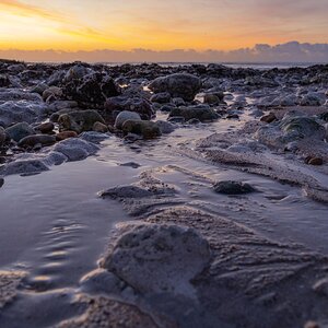 Cuckmere  (4 of 6).jpg